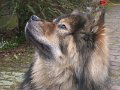 filou (29)